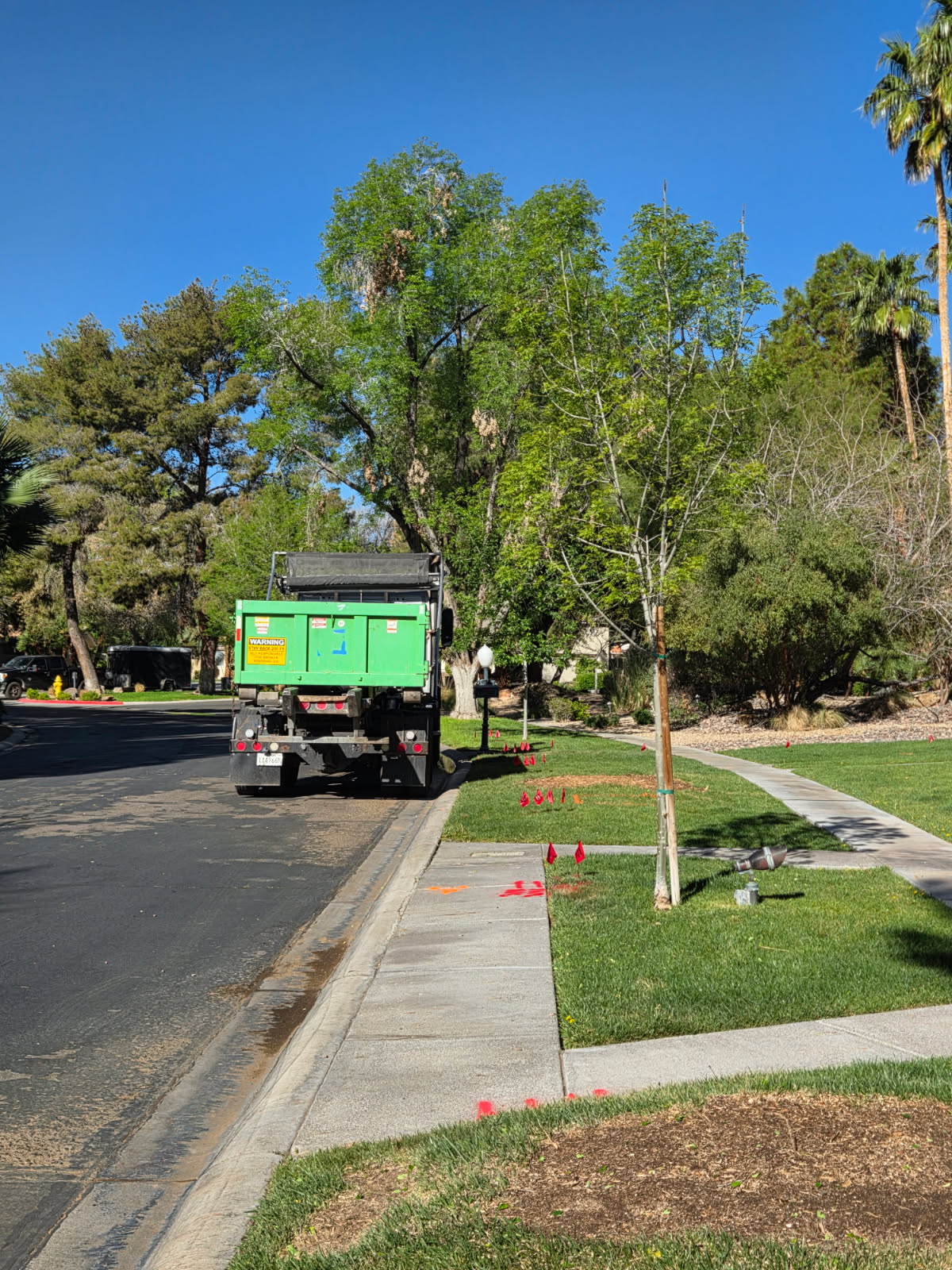 concrete dumpster rental